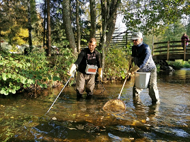 Seurantaa kunnostusten jälkeen.